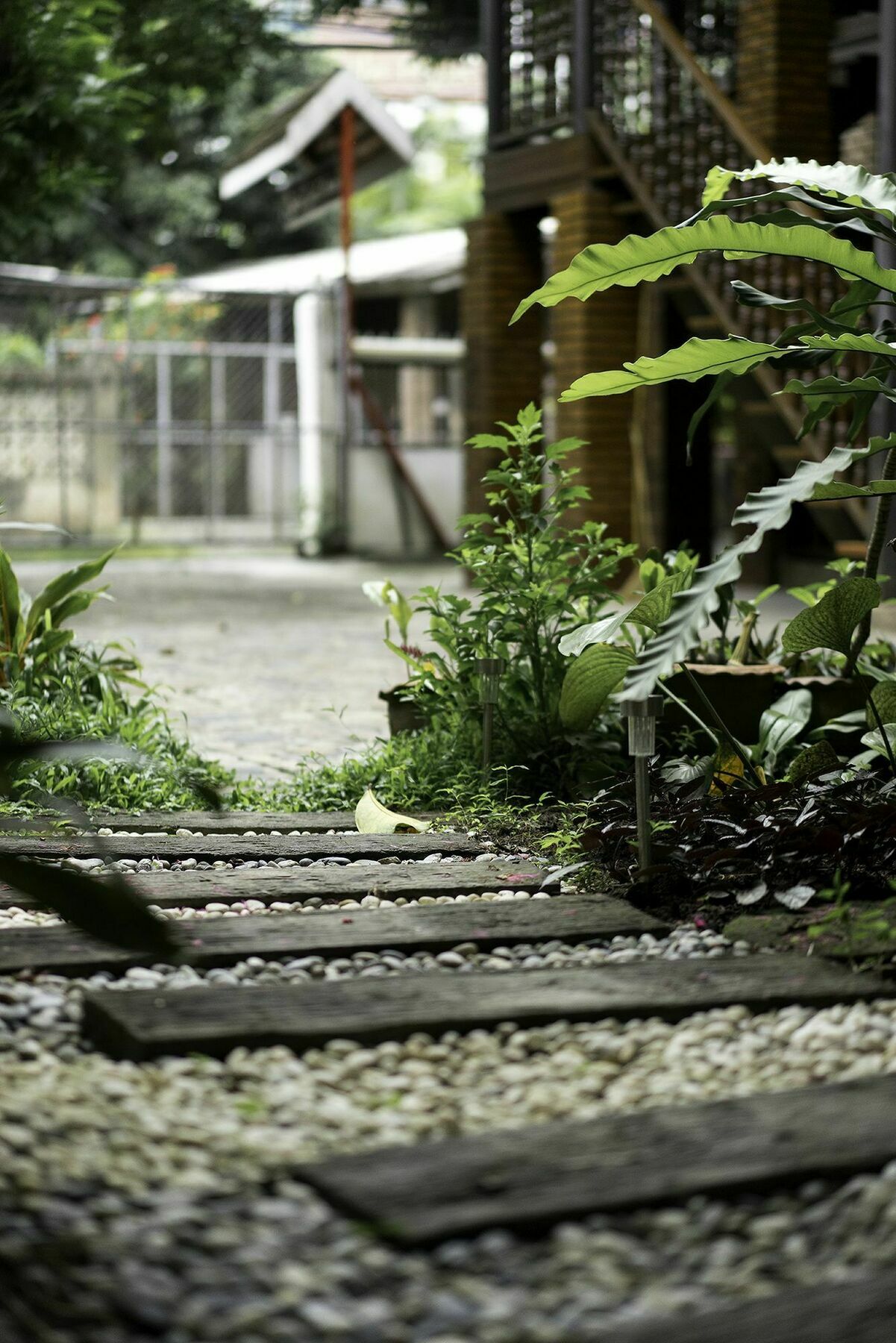 Sarah Guest House Chiang Mai Zewnętrze zdjęcie