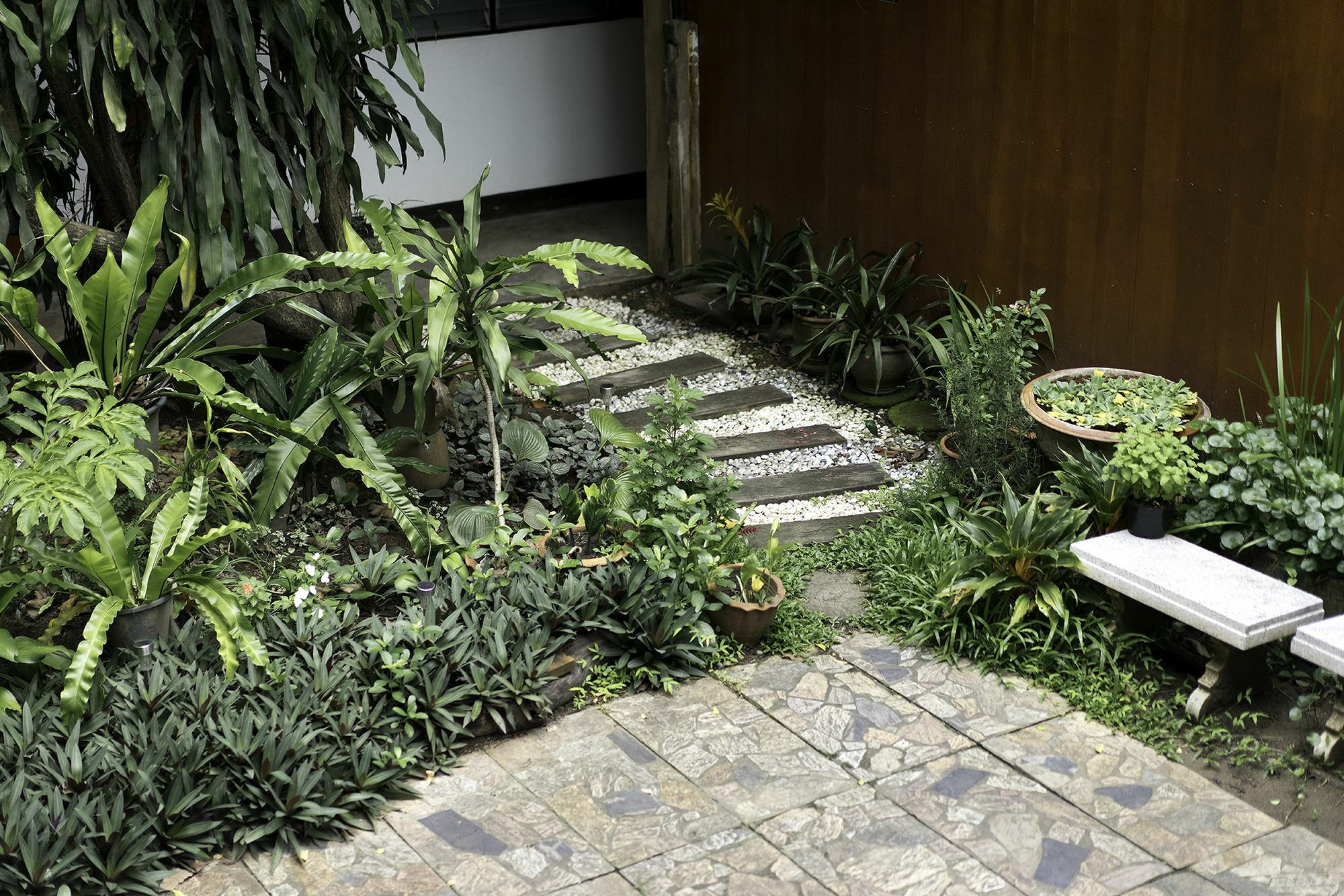 Sarah Guest House Chiang Mai Zewnętrze zdjęcie